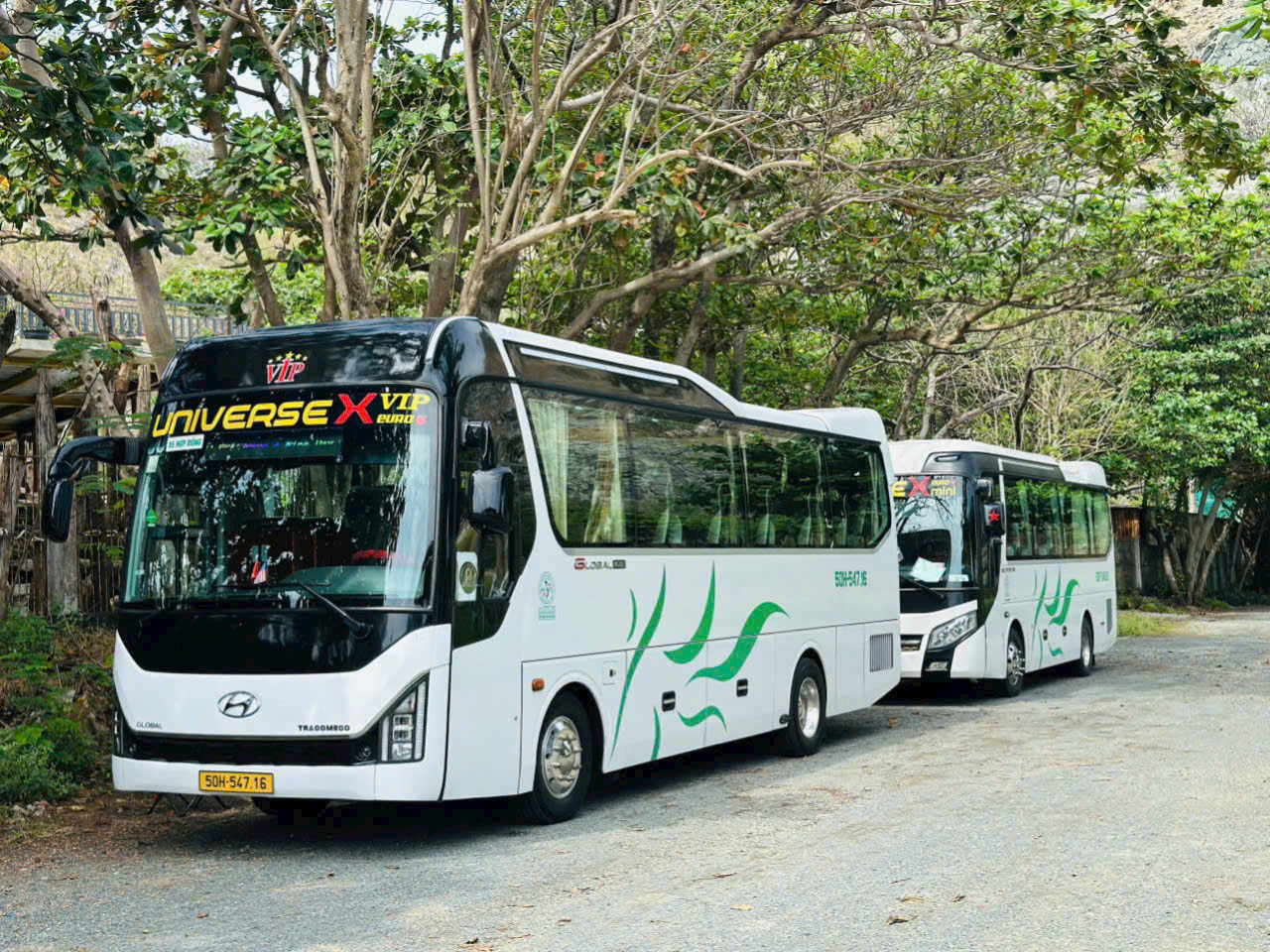 z7188791499001_089809b26db237b3e374e00bccac4778